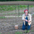 Nueva red de soporte de plástico de plantas de invernadero para agricultura